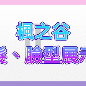 楓之谷髮臉型檔案
