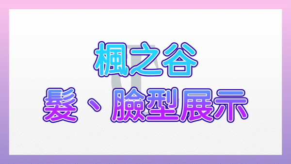 楓之谷髮臉型檔案